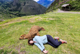 Peru_and_Bolivia_2025 (9/66)